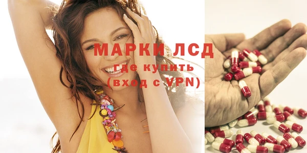 ПСИЛОЦИБИНОВЫЕ ГРИБЫ Инсар