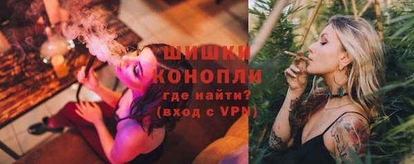 ПСИЛОЦИБИНОВЫЕ ГРИБЫ Инсар